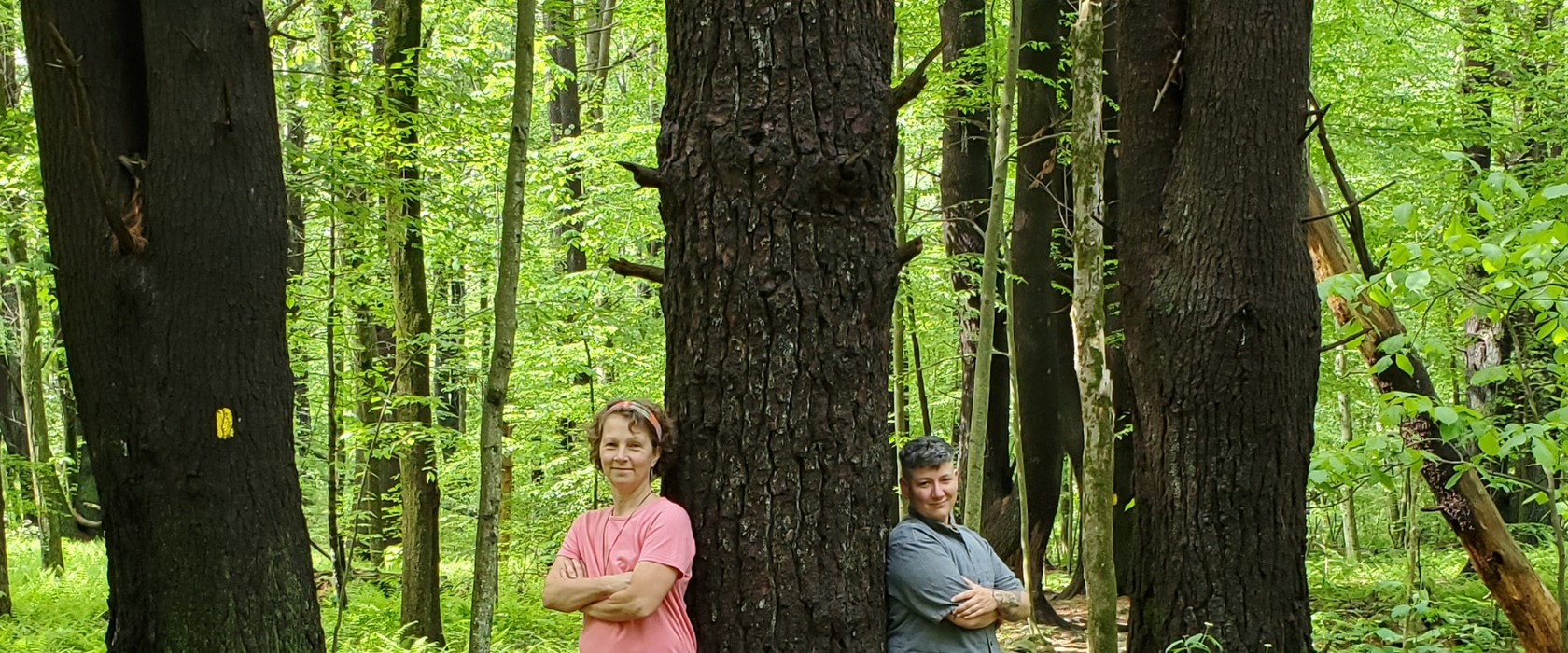 Simplero Website ABOUT Header