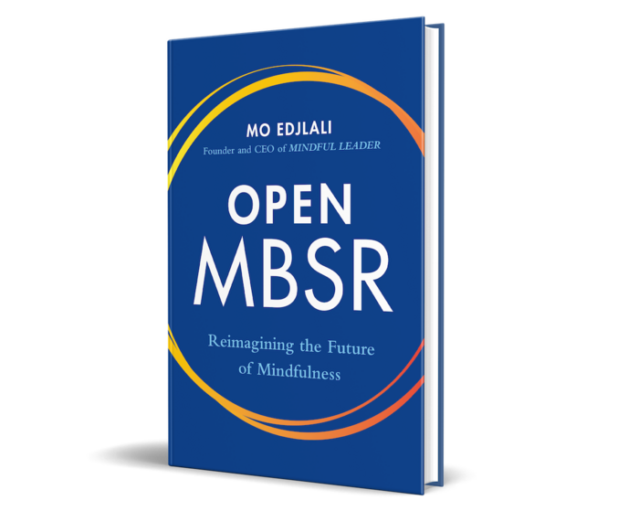 OMBSR book small