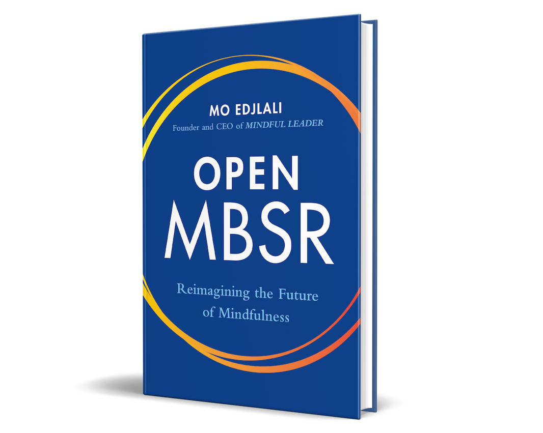 OMBSR book small