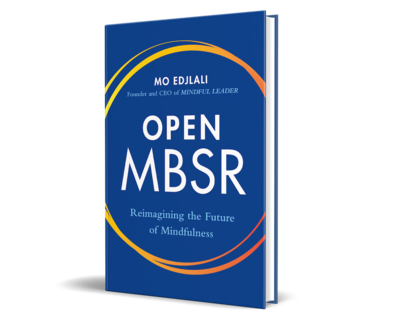 OMBSR book small