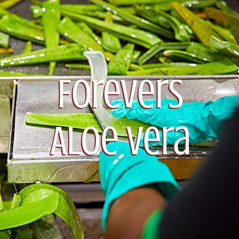 Forevers Aloe Vera (sv)