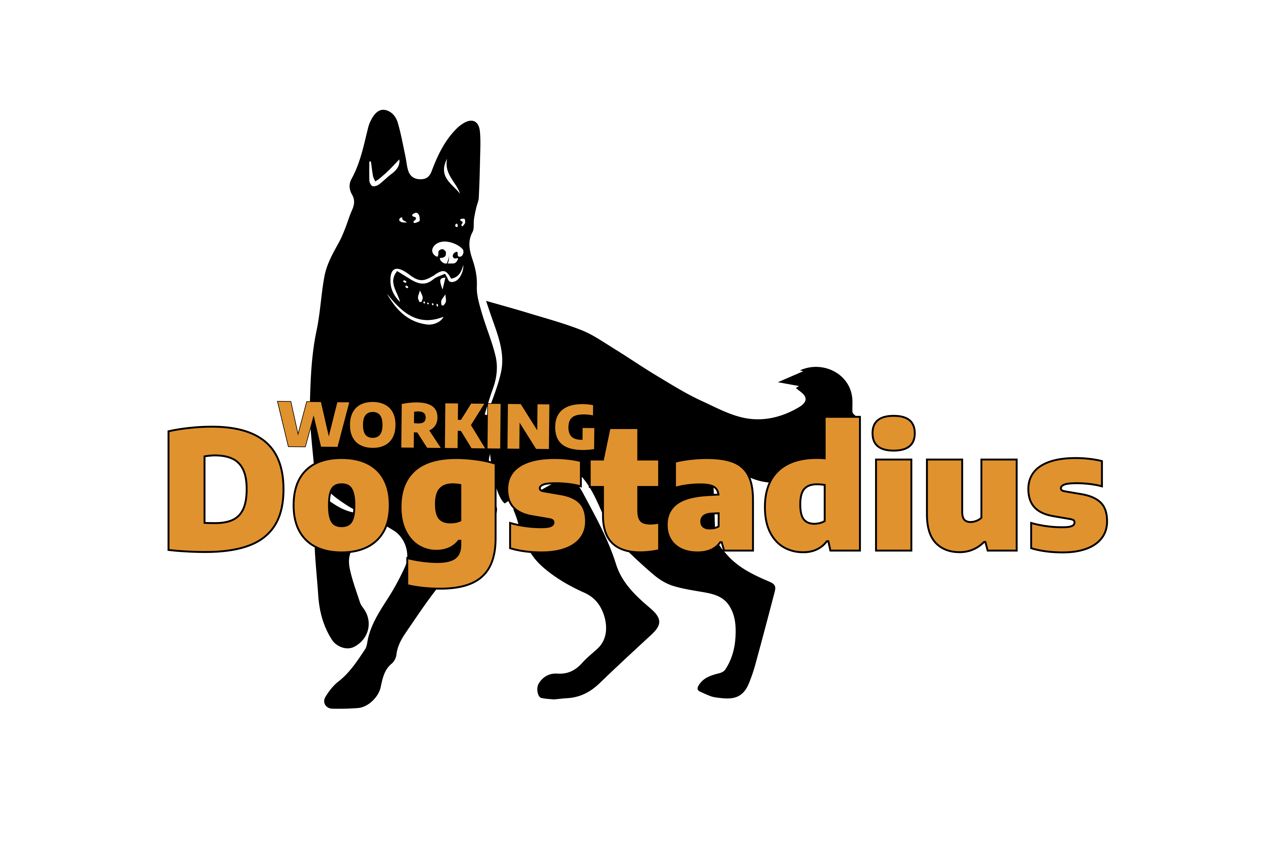 Dogstadius_logga (1) kopia