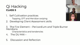 Qi Hacking w 5 self cultivation