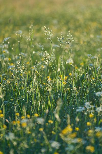 photo-1658334433189-3d3543e27d27