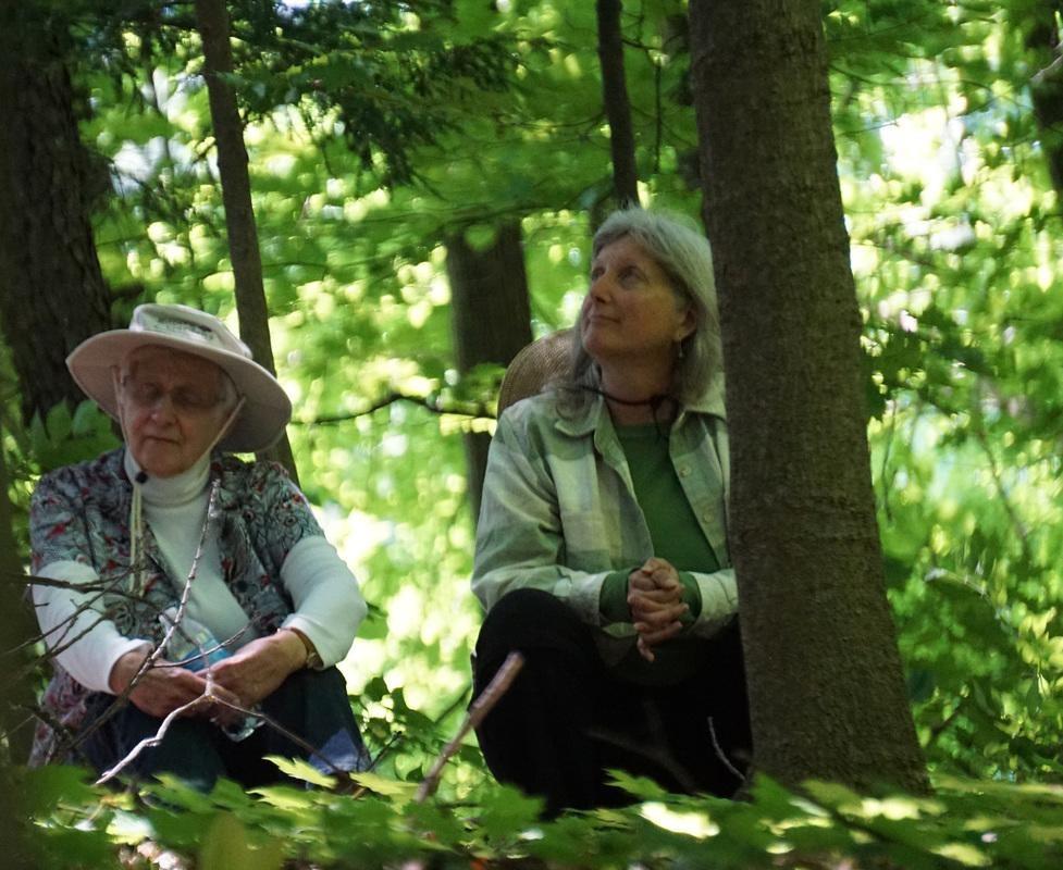 About Forest Bathing home page square