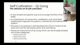 Qi Hacking w 6 self cultivation