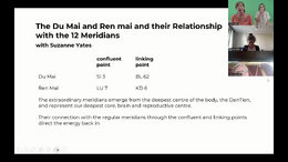Qi Hacking W 6 Du Ren Relationship with Meridians