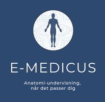 LOGOS ON A SITE PAGE_480x480