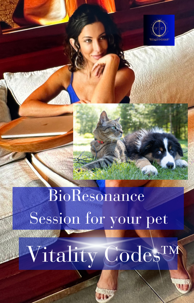 BioResonance for Your Pet