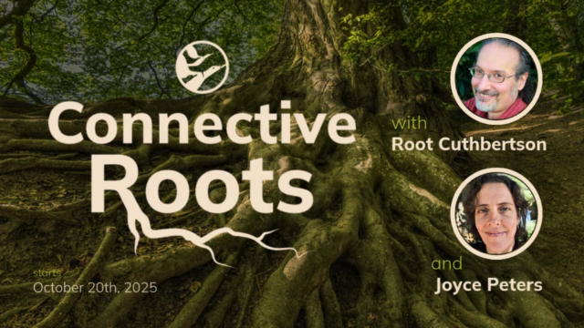 Connective Roots: Why This Course Can Transform the Way We Build Culture