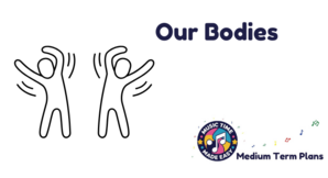 Our Bodies Medium Term Plan