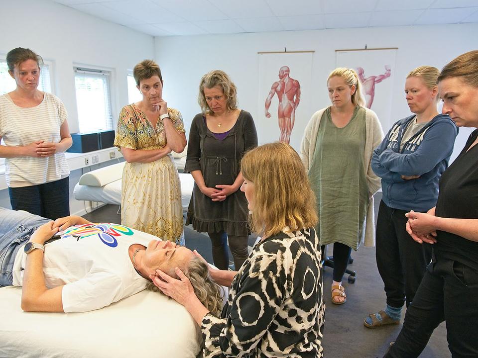 Kranio-Sakral-Terapeut-uddannelse