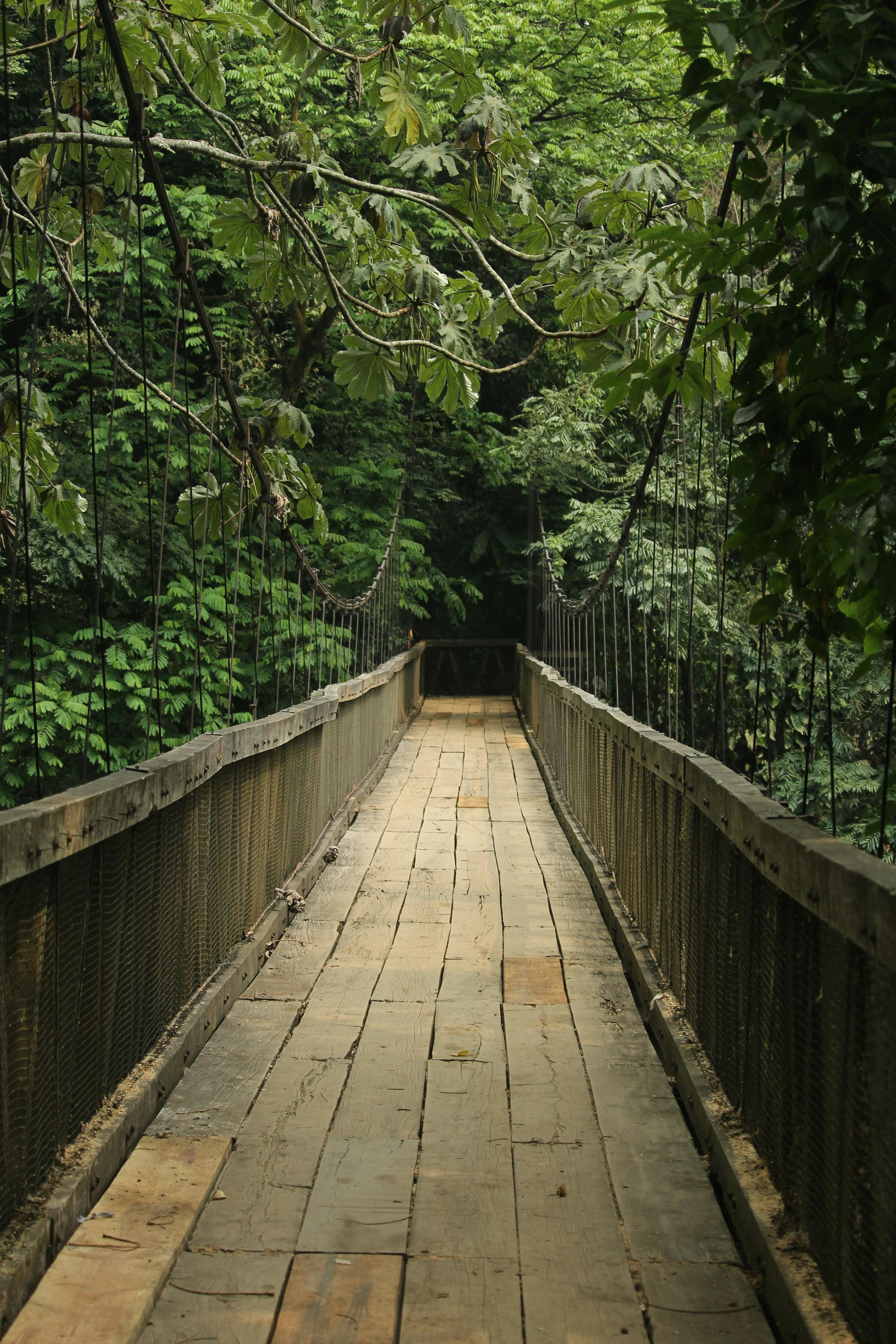 photo-1647124477343-a49323a3dfdd