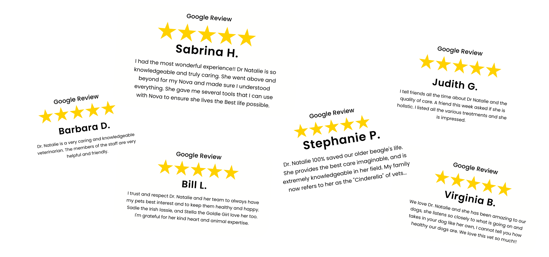 google-reviews-dr-natalie-holistic-pet-care-6-testimonials-5-stars-edited