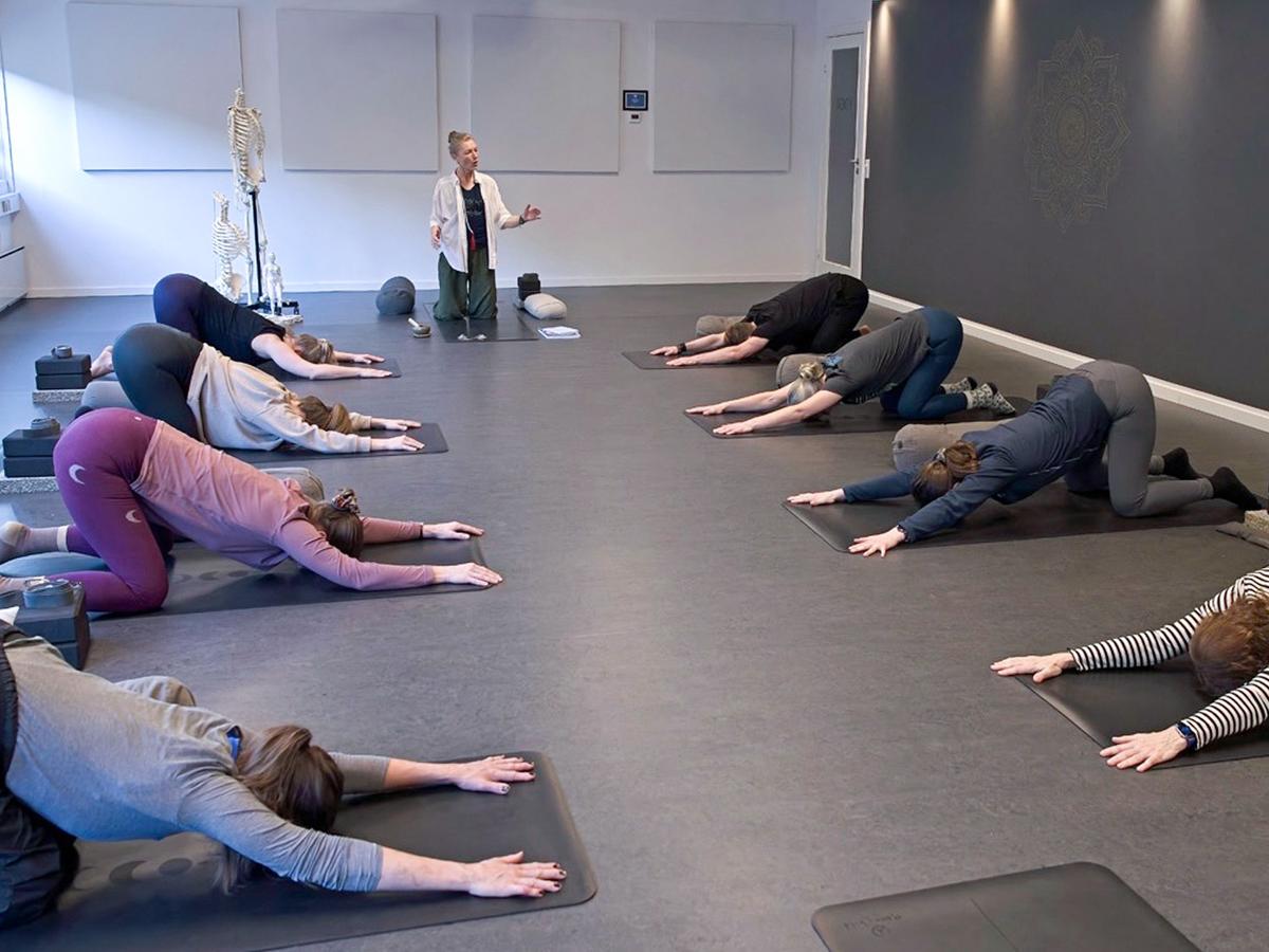 Yin-Yoga-uddannelse-cover