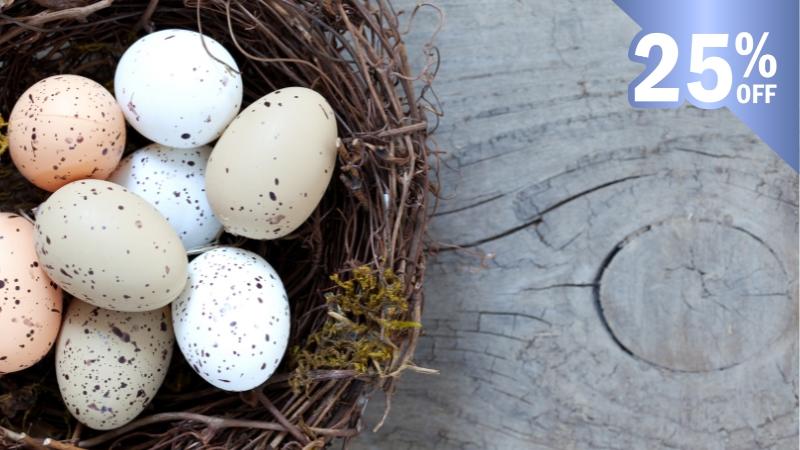 Simplero Bundles IMAGE - The Niching Bundle 