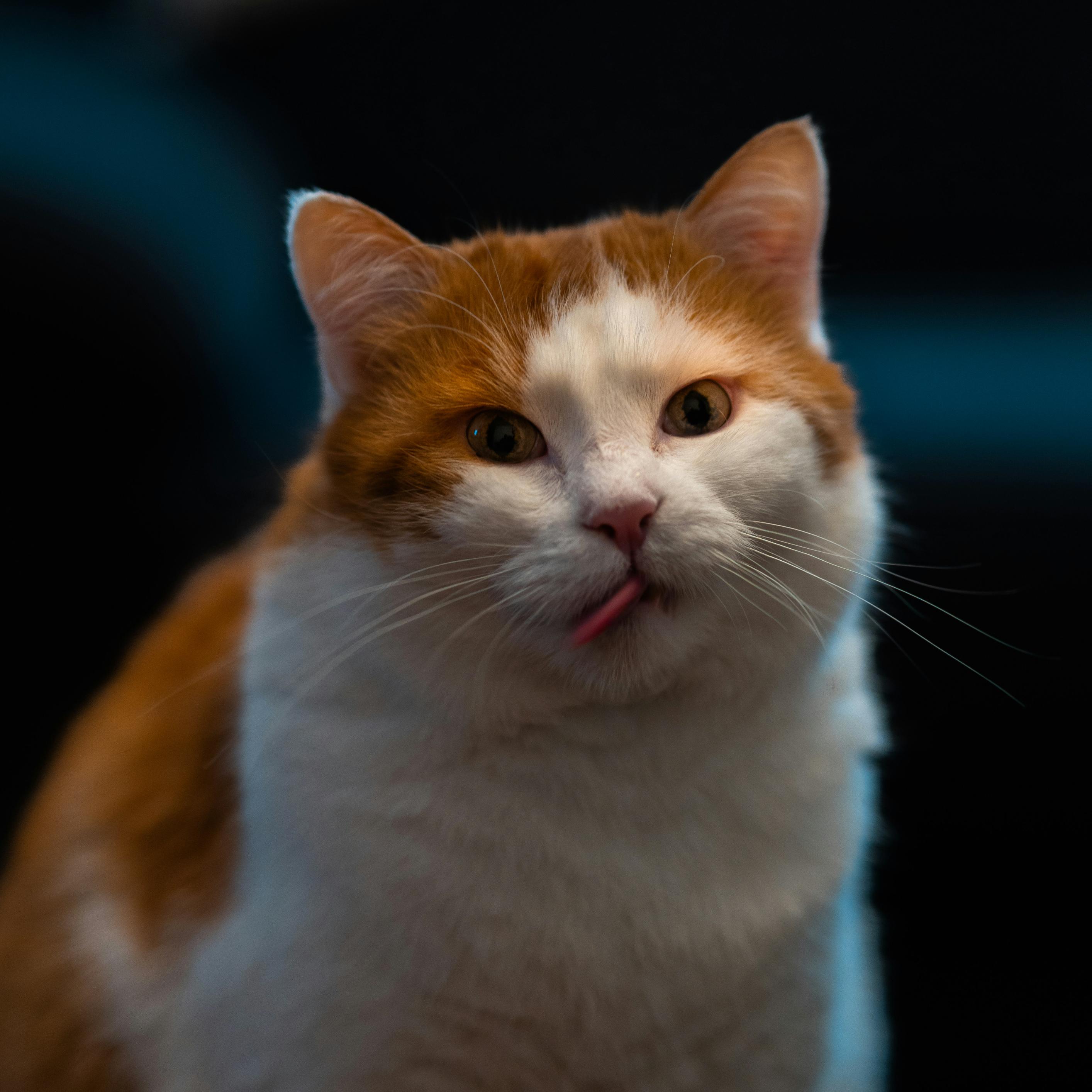 photo-1745185712730-d40277bf7cb7-edited