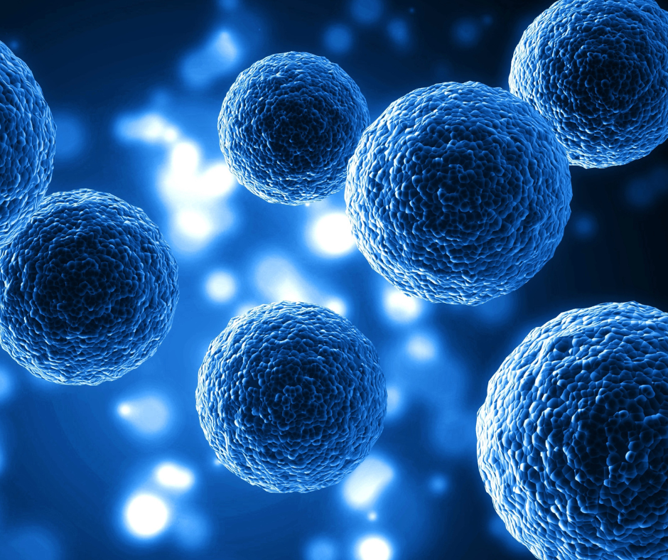 Cells
