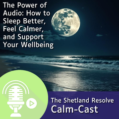 Power of Audio podcast