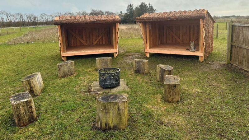 shelter 800x450