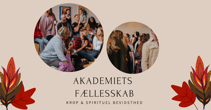 Topbanner - Akademietes fællesskab