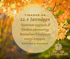 Quinox billede