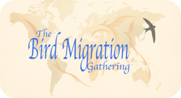 Bird Migration Gathering Logo