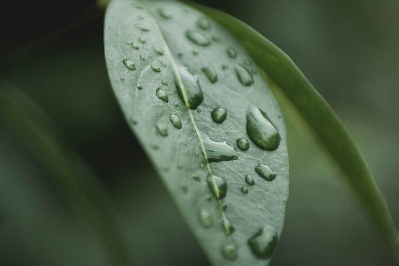 254bdcd9-3362-4bf7-b7a1-347accab1eeb