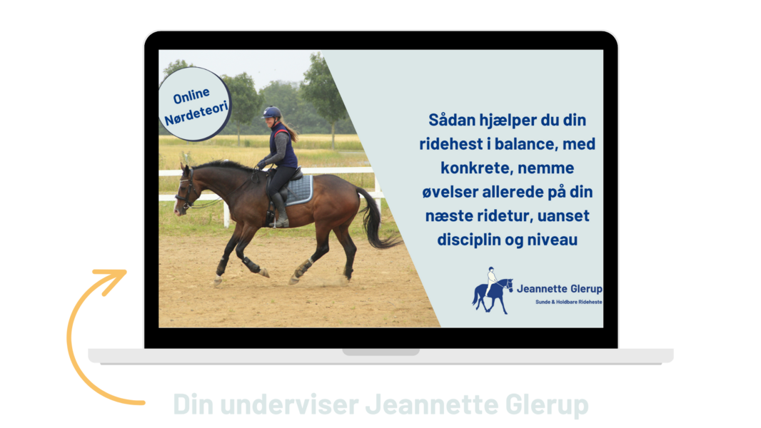 Sådan hjælper du din ridehest i balance med konkrete nemme øvelser allerede på din næste ridetur, uanset disciplin og niveau pc