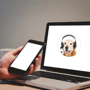 Computer hund smartphone headset