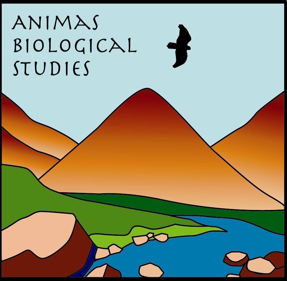 ABS Logo_Herculanum Font