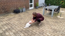 5. Mette med Alma -  Øvelse 4 i haven UDEN snor