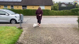 6. Mette og Alma, Øvelse 1-5 udenfor på vejen, med fokus på øvelse 4 og 5 - næste gang skal i træne med større stimuli, som biler, mennesker, eks. ved et supermarked