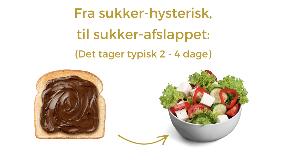 Skærmbillede 2025-10-08 kl. 20.28.59