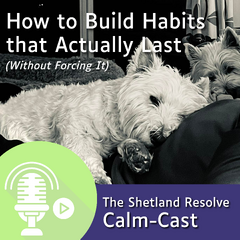 how to build habits that last podcast (1)