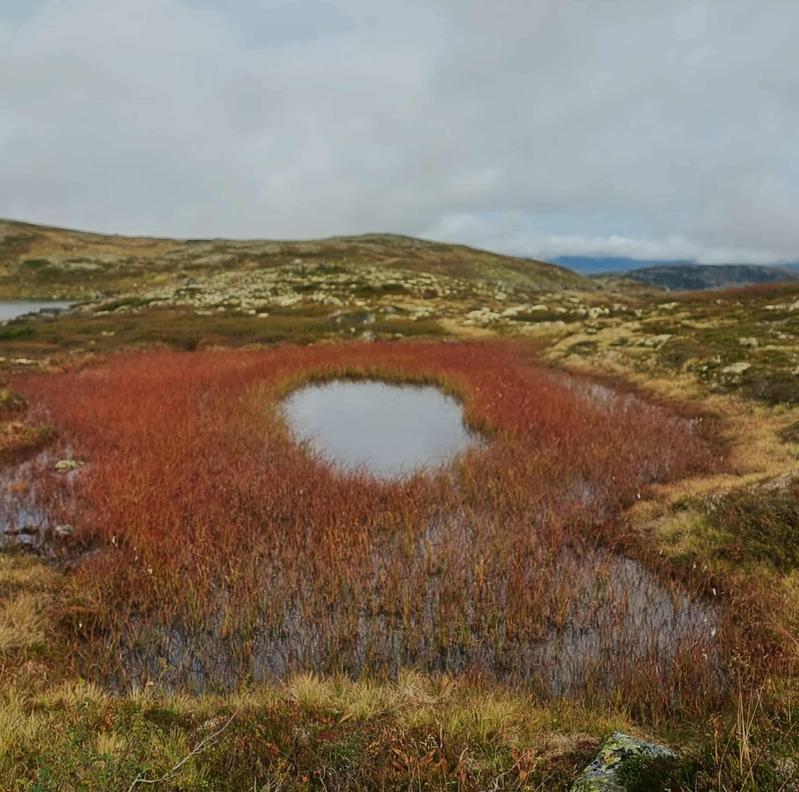 d9afb2d8c88395704061ba43605b4af9