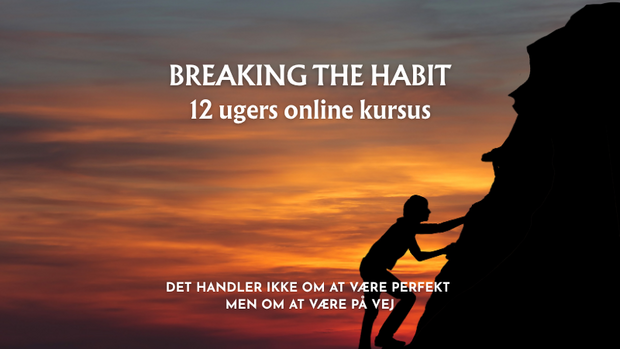 BodyMindset 12 ugers forløb, der kombinerer mental træning, kost og realistisk bevægelse – for dig, der vil mere end bare et vægttab_card image