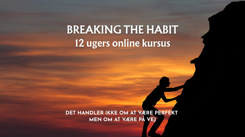 BodyMindset 12 ugers forløb, der kombinerer mental træning, kost og realistisk bevægelse – for dig, der vil mere end bare et vægttab_card image