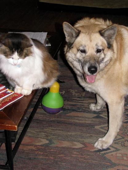 Pennye & Pup at The Big Bad Woof