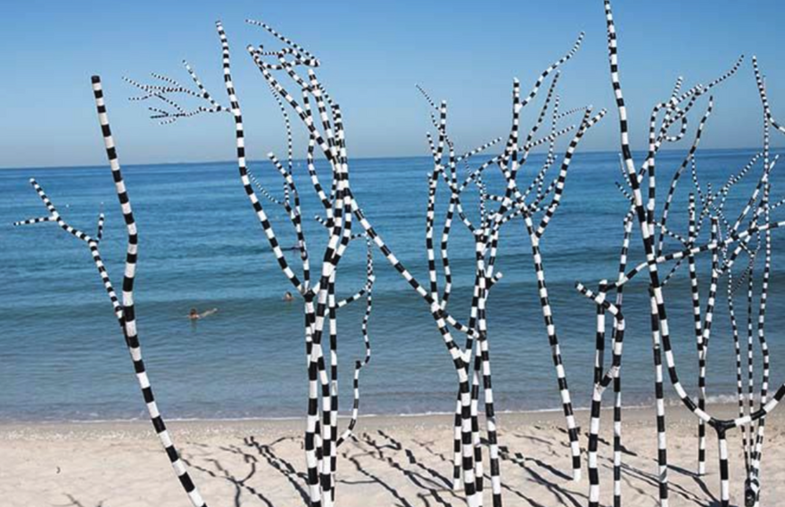 Screenshot 2025-10-12 at 11.34.30 am