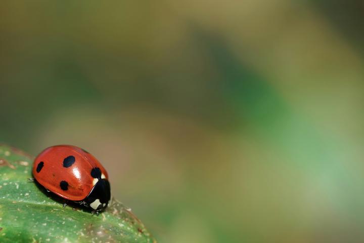 photo-1618673573992-fa5d22bd603f