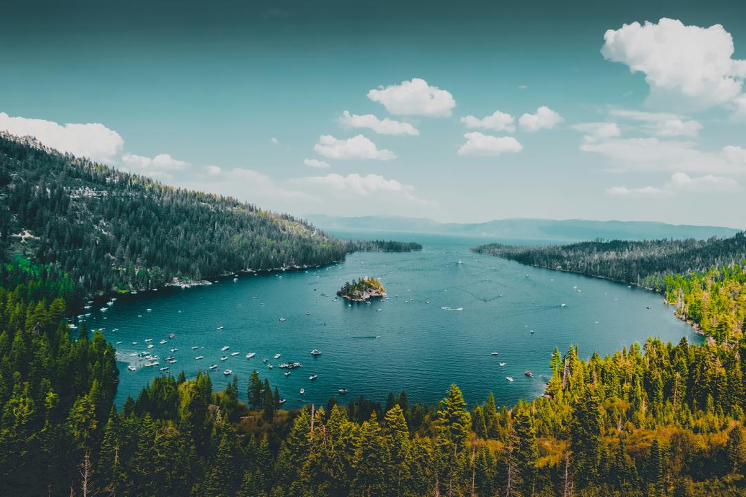 photo-1552083375-1447ce886485