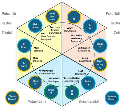 12 Konstitutionsübungen