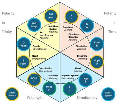 12 Constitional Exercises - Chart 2025 EN