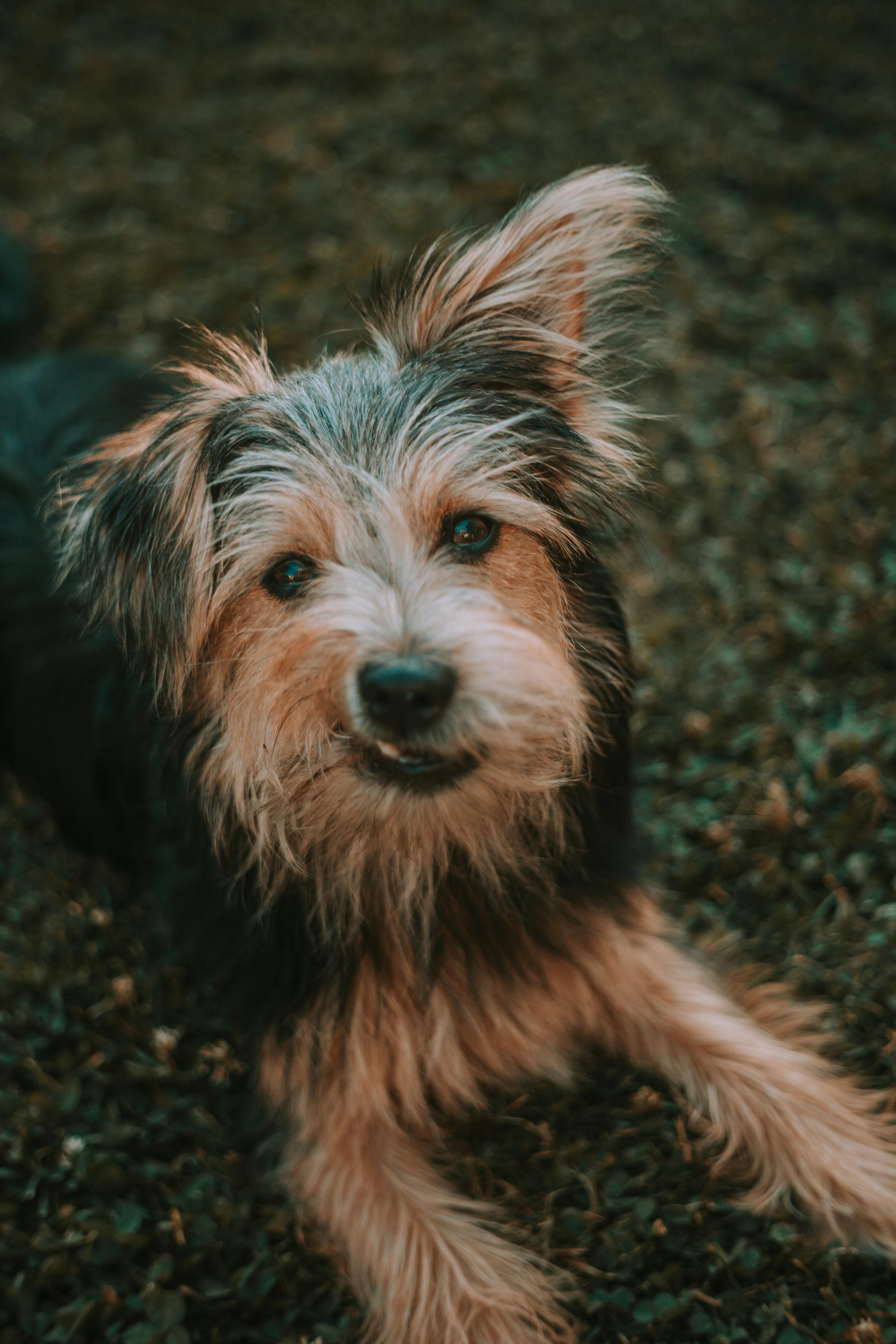 photo-1656672618784-6dee567d311d