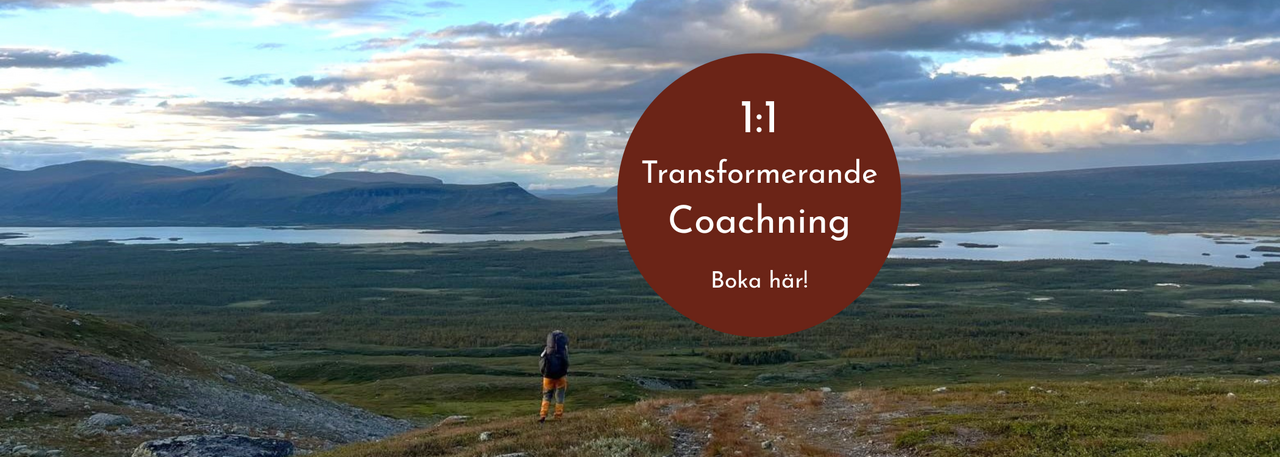 90 min Transormerande samtal
