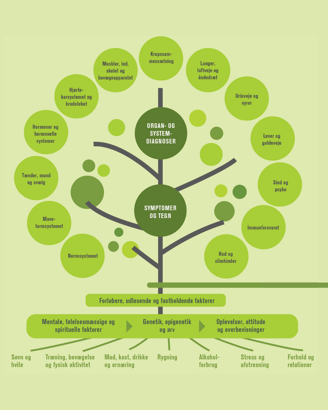 Functional Medicine træ