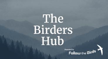 Birders Hub