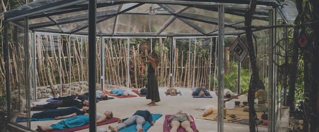 Lunita Jungle - Banner Graphic #2