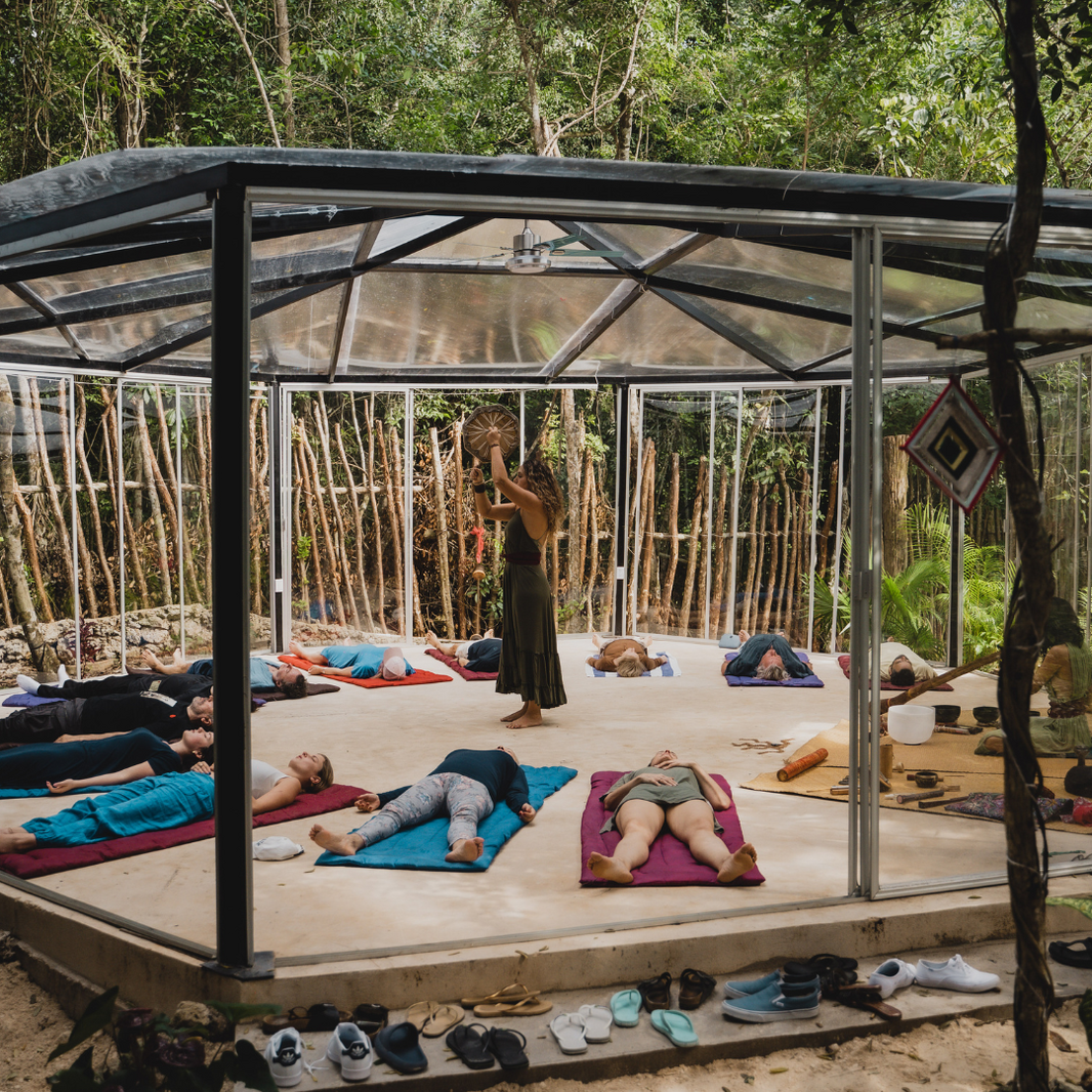 Lunita Jungle - Graphic #9